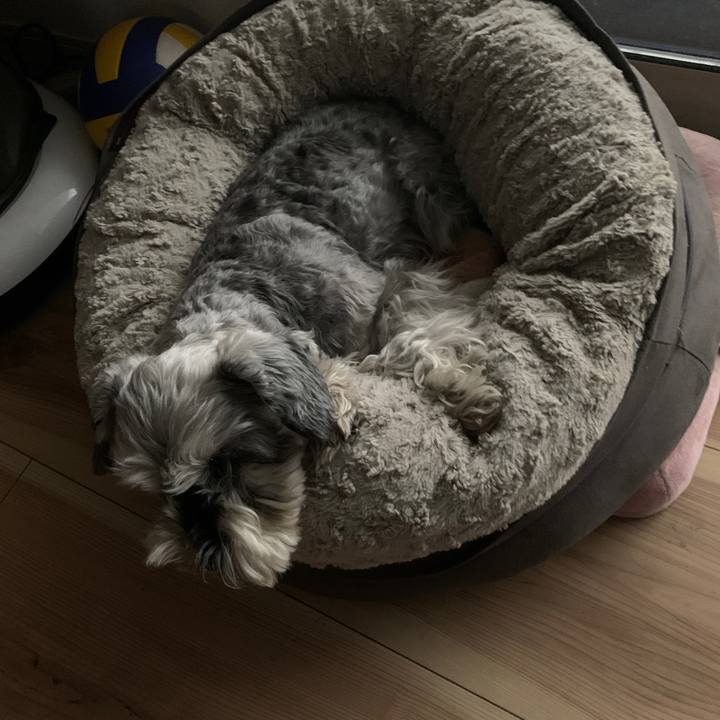 8eabf595 5c67 45be 8e7d a5deeaf3dbb5 1673667497475