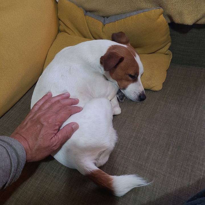 8eac29fd 381a 4c47 a724 e2ff66a35bac 1713946787923