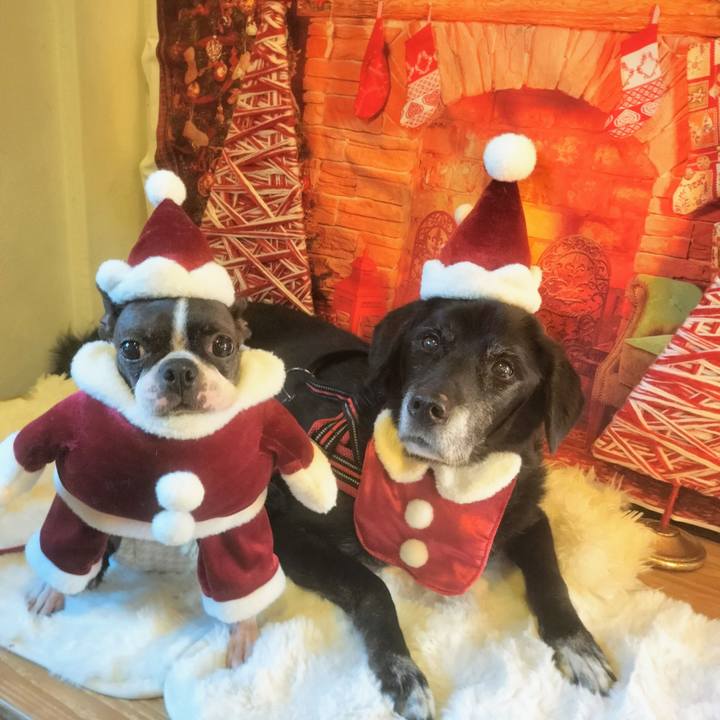 8eac54fa 48c3 4abe a1ef c2fe540a87f9 1765171160551