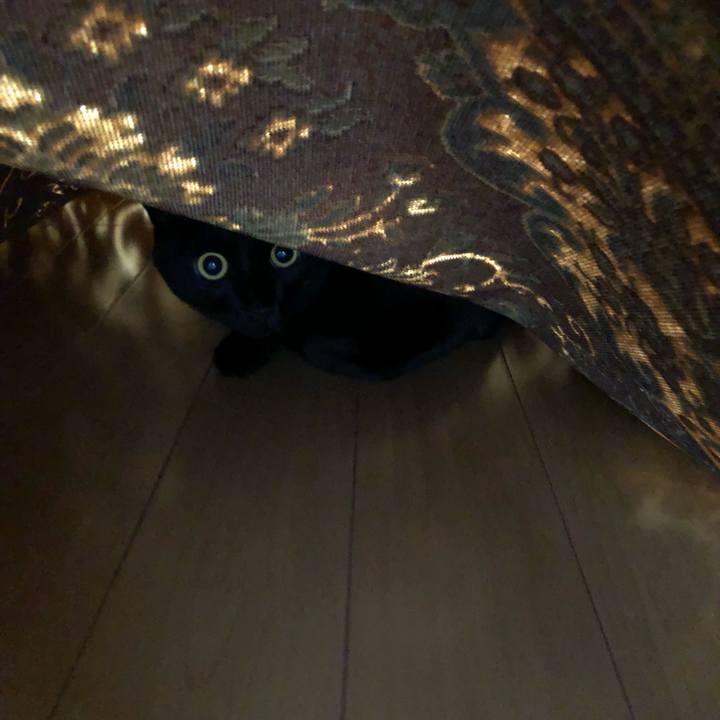 8eac73f5 e09d 49e2 b6f6 58c3963ebe39 1533947458503