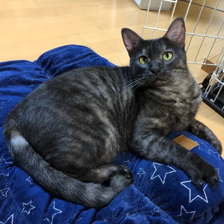 8ead1983 06a5 4362 9d83 0bb4eae1040d 1602682011507