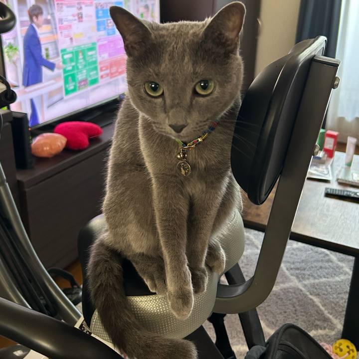 8ead4484 b114 4e46 b5f4 f7568fe9b094 1690504886237