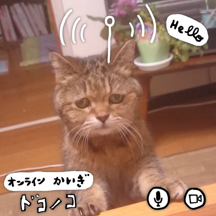 8ead5860 b642 4de3 b1ea 18fd5c00e9cc 1590887722370