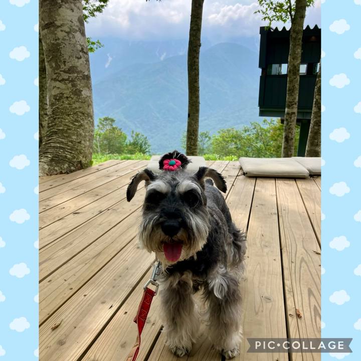 8eae07d7 b309 41d0 848b 4a3ac0080362 1721545328811