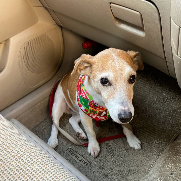 8eae27bf d017 416a a8a1 568cca1a6696 1607134970157