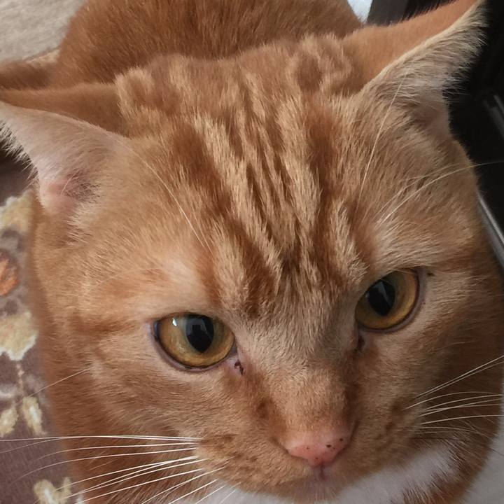 8eae33c6 ea89 4cc4 b826 da6d2278ada2 1576285083317