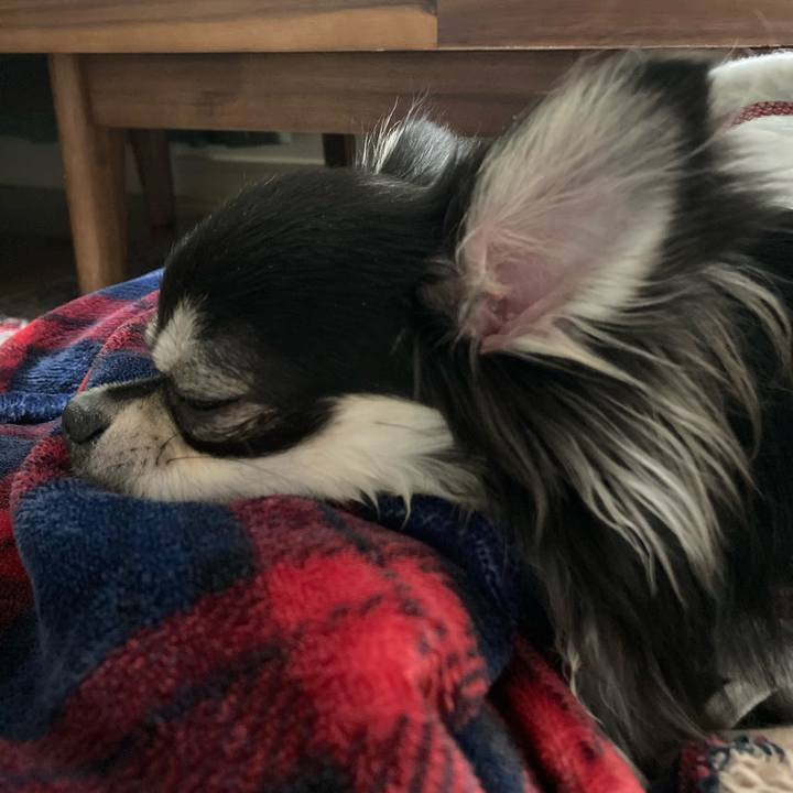 8eae35ff 560e 435c a6a2 ffbf5fb2d23d 1610808427388