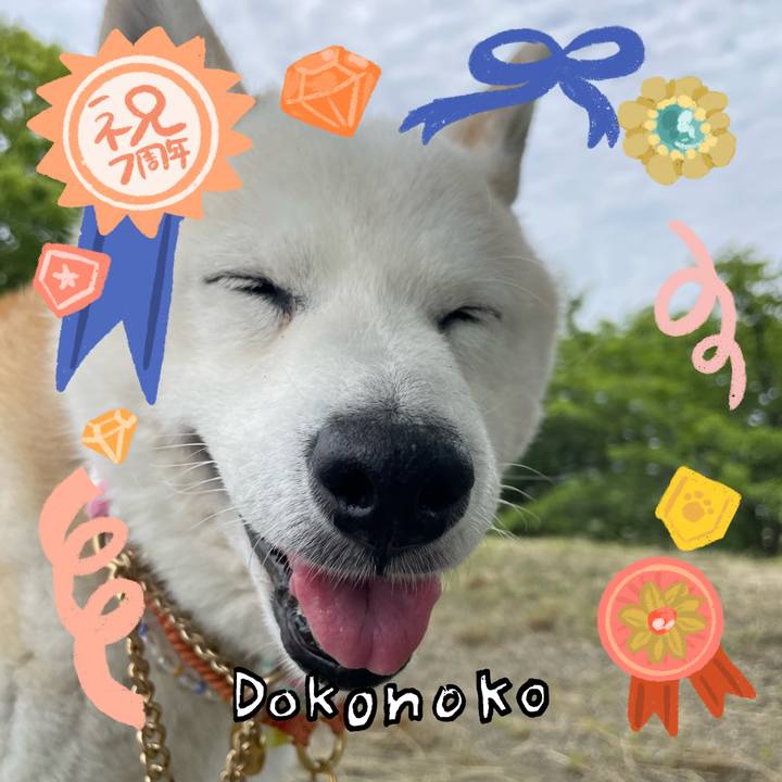 8eae4902 1ca5 455a 97f5 724d6bd3d9f6 1685971661013