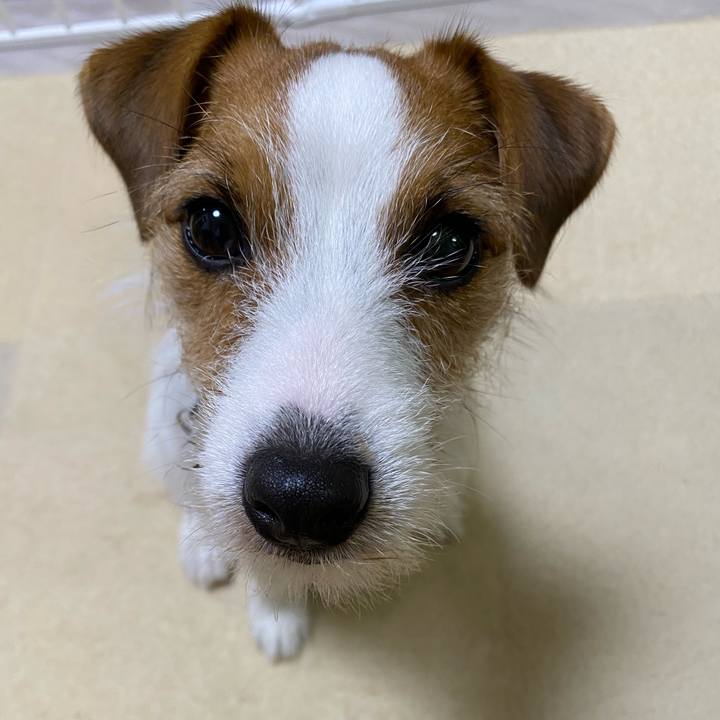 8eae9c1e 2041 41d0 bc15 ee7de9a63827 1641996436101