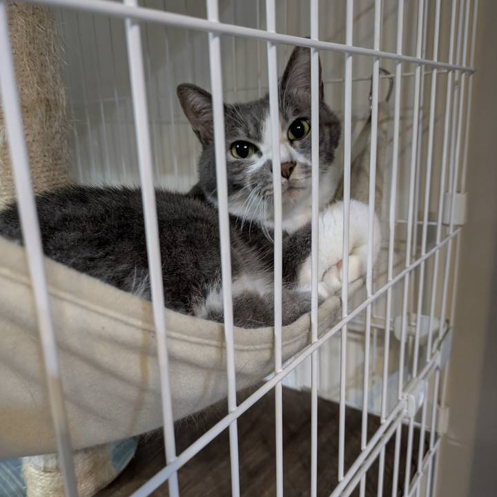 8eaea5e0 0ee9 4141 879f 37b25d11fd4f 1758544444191