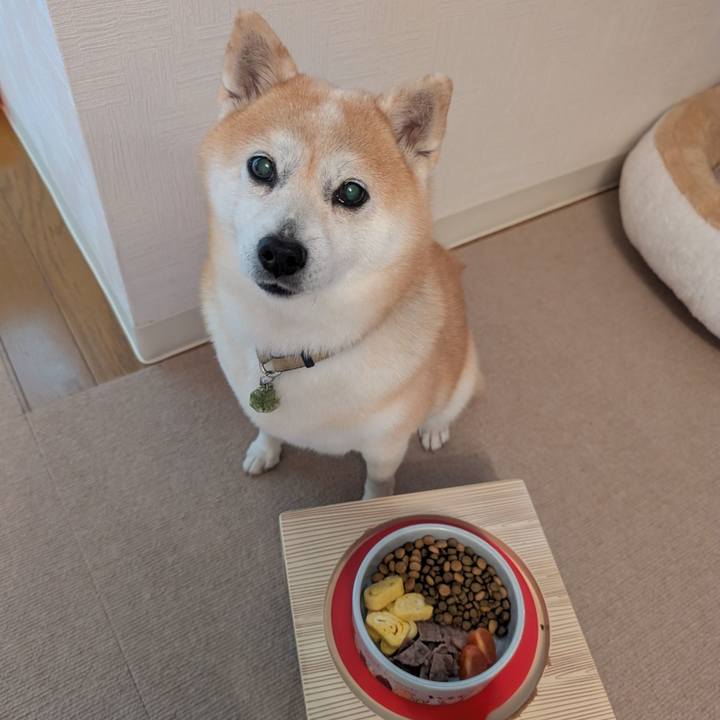 8eaee539 9f34 4f7d 9c65 339cee2f9e1d 1767259388419