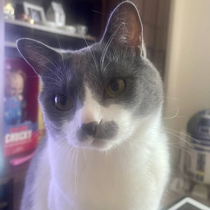 8eaefcf4 ed87 481d 8245 39029b8b79f2 1656281181389