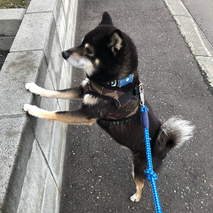 8eaf534d 722e 4d6b a4ba 830ec52451c7 1588152357936