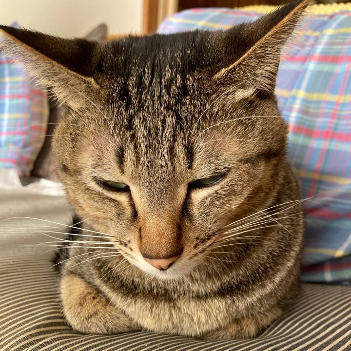 8eaf5697 8836 4bee 88b7 4aef9560254a 1768090163856