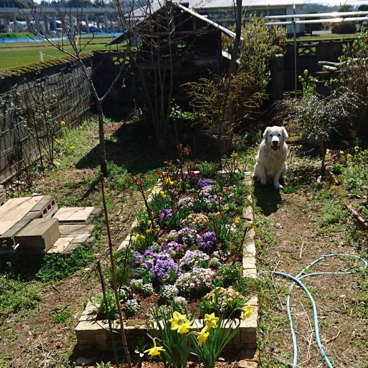 8eaf6aef fae9 40d9 a227 b795988971c8 1521348359747