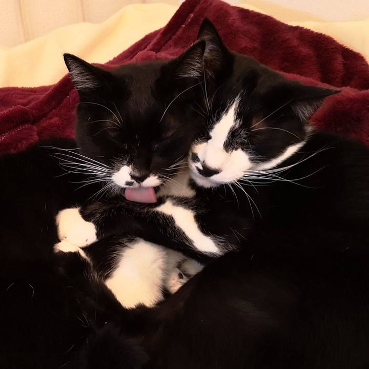 8eafab61 ef02 4a2e 9069 148c4eb3d11d 1544693579921