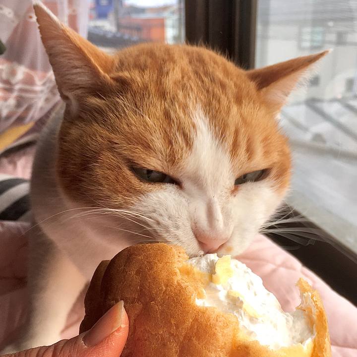 8eafc74a 9927 4a90 99c1 61ca53c8056c 1582361393679