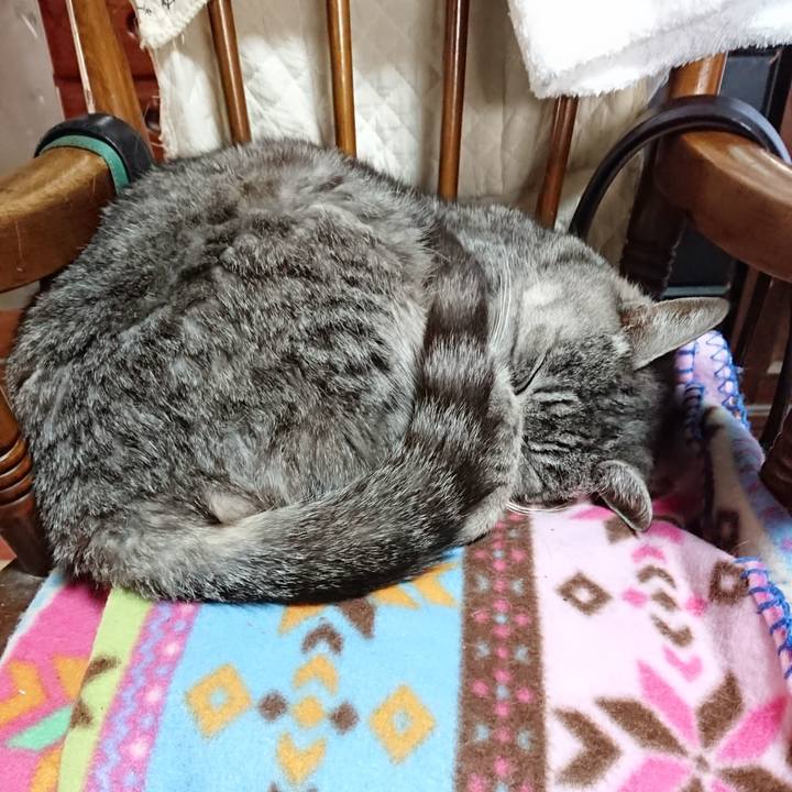 8eafc751 61b5 40a0 a1f9 b0477669015e 1574568746908