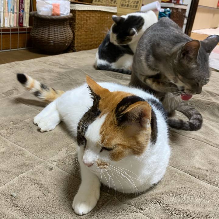 8eafe186 0c68 4b36 92c0 52bd82a86f27 1606915572256