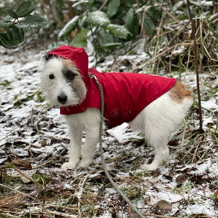 8eafef21 6098 44dd 83c4 6a0541aca990 1613517863678