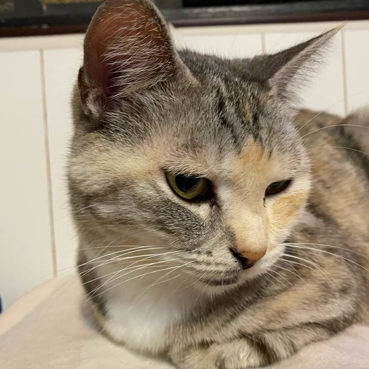 8eb00ca6 09ea 4b56 b870 f6fd46fe1015 1638976903210