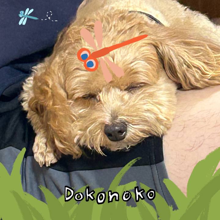 8eb0705a 910d 4232 8d81 1040de3a03ed 1726990851145