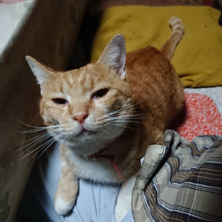 8eb07188 1943 435a a93e ced065adce04 1571259768045