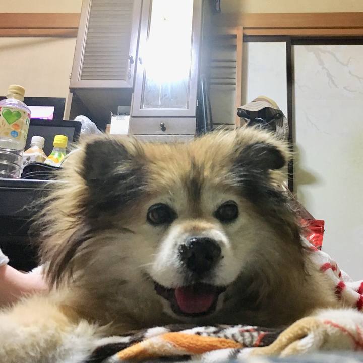 8eb072b6 8e3d 470d bf82 d95e4c17165a 1597307392539