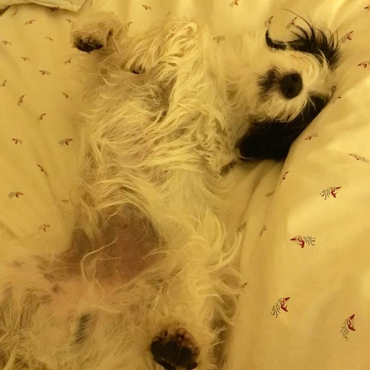 8eb0742b d8f1 4160 a8b6 1ce031ac969c 1511226335352