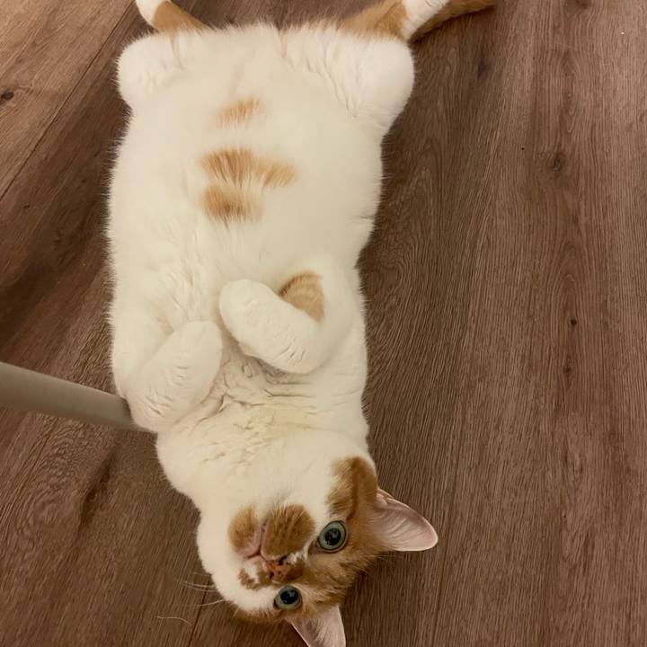 8eb0781c 0c20 4f8b b982 22f1e7cca3e4 1692440402565