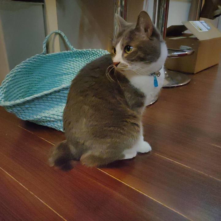 8eb0a468 26ee 42d9 8310 8aca45d579e3 1676898828467