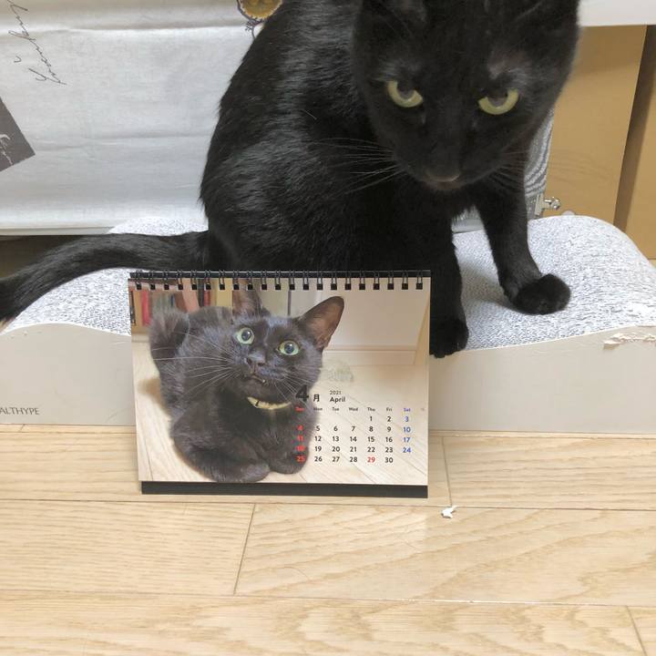 8eb0a96c e848 47ca a171 3ce91abf80ac 1617890709199