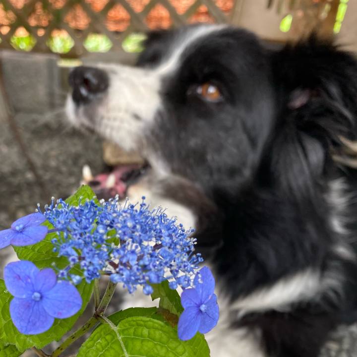 8eb0c58f 7c78 432c 99c1 fc4046f5cc41 1620872213144