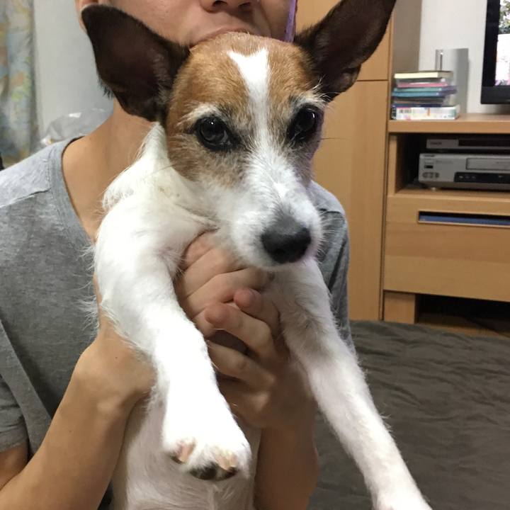 8eb0d723 d508 4dc3 a8dd d2bfa2bf022c 1569452792489