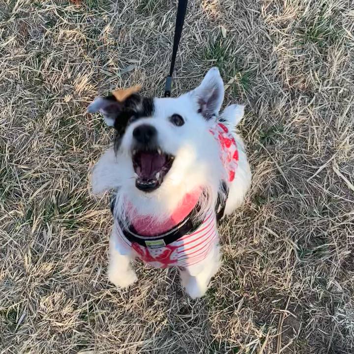 8eb1108b 5c8a 4360 b9c0 20aae3474203 1708241107809