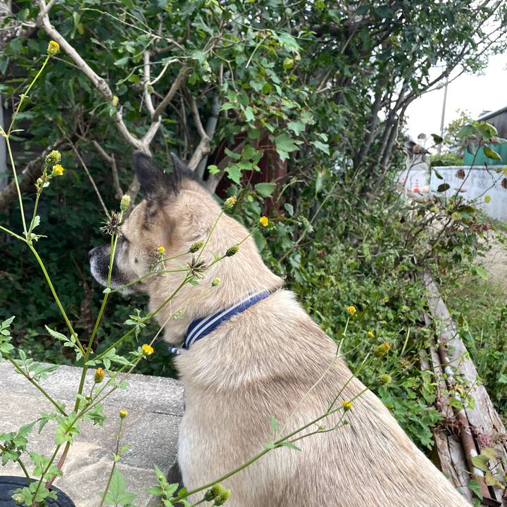 8eb11f6a 2776 4da0 98c0 f827bad6c36b 1665576981726