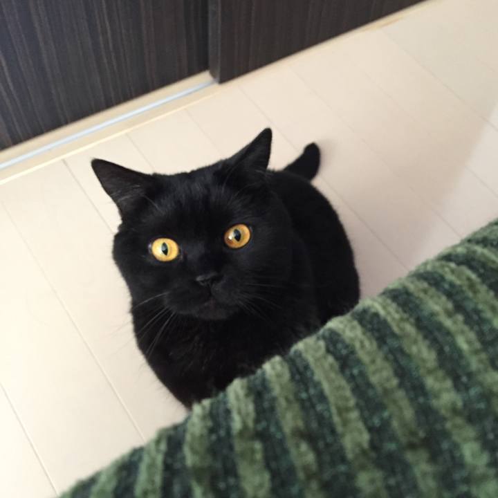 8eb135bd 44fd 4ac0 88a7 93b691ef0985 1586161851804