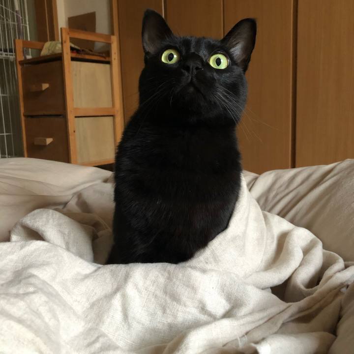 8eb182cc 71eb 4d17 828c 3dd859af9a77 1573080300715