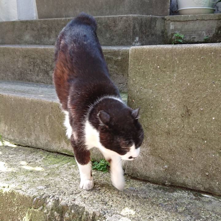 8eb1abf4 ce1e 4d11 9f7f f0c356f99799 1683272326359