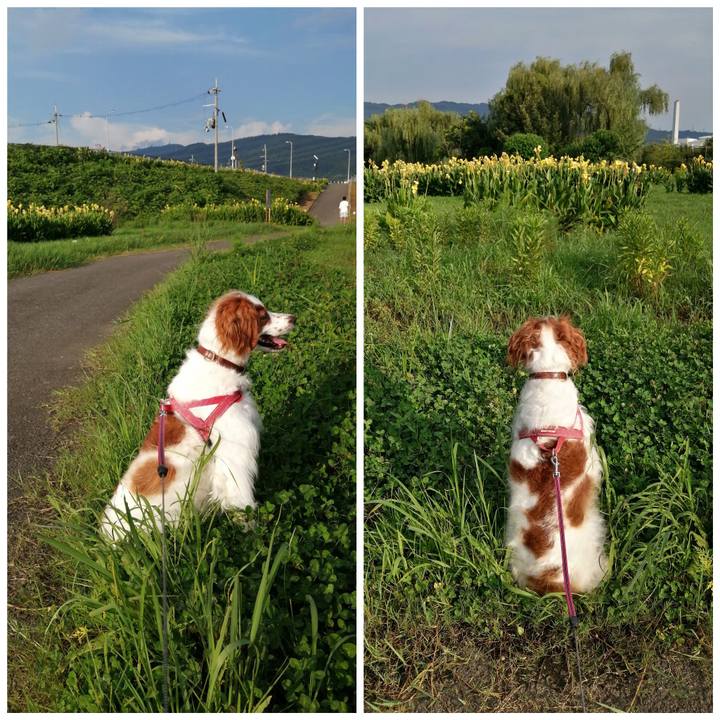 8eb1dbdd dab3 4580 ae2a 7c2e461fc67f 1596272226728