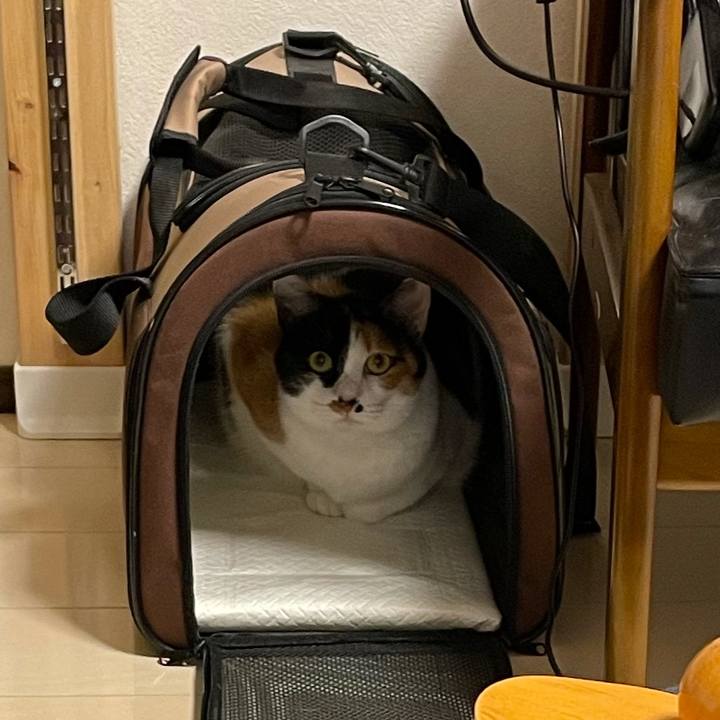 8eb2197f bd16 4ba4 a45d efe77e3eee3b 1616753380765