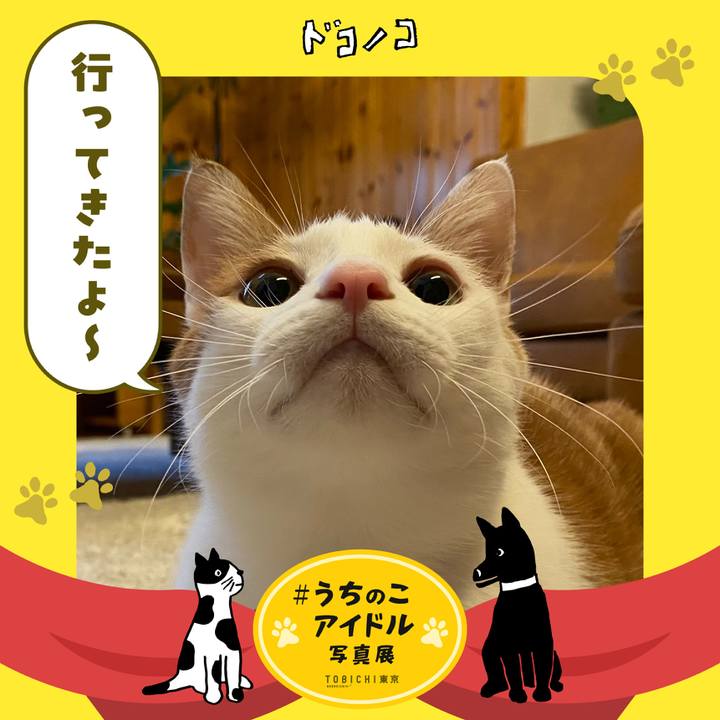 8eb255d5 ac17 46e4 844e 088e56ef132a 1761137837940