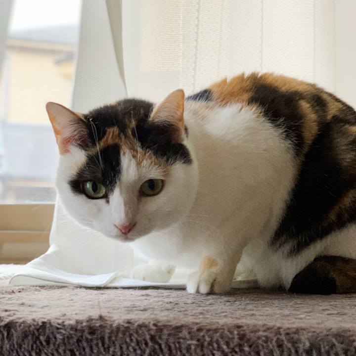 8eb26b89 6f25 453b b6f3 f2ddd3b16903 1550370522910