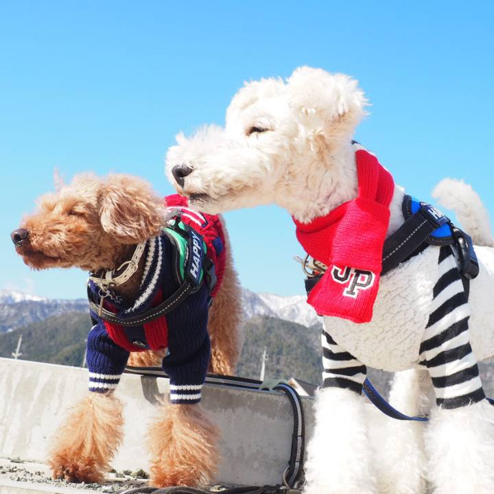 8eb279bd 7ac0 4b8d 9cae 62f4b0496d03 1549105085595