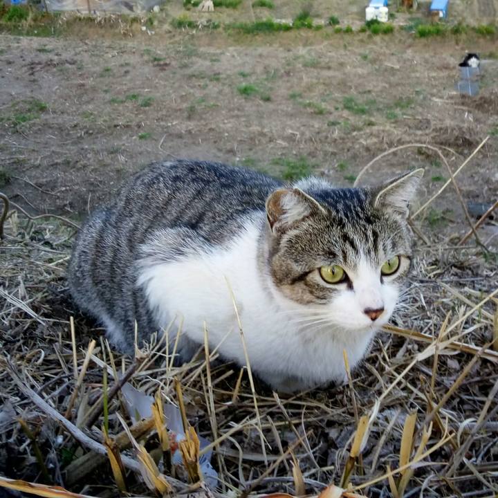 8eb2da99 88ab 48b2 bf17 b63d10fc35a8 1519733769728