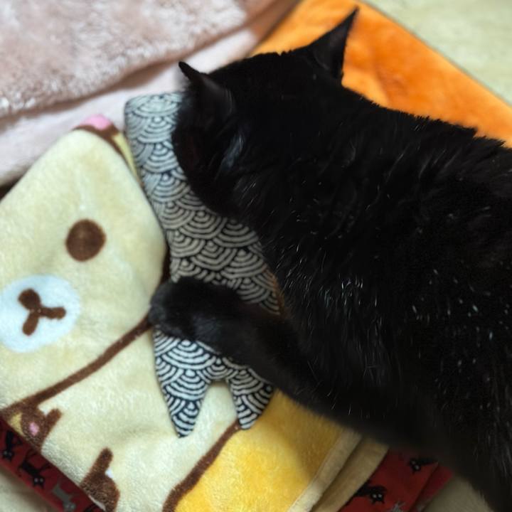 8eb2edef c75b 4aa7 a9b7 dc2ac4152864 1671762210075