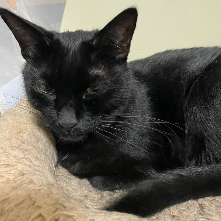 8eb2efa2 b6a9 4ce6 9cf0 3bc928f3a199 1665315086168