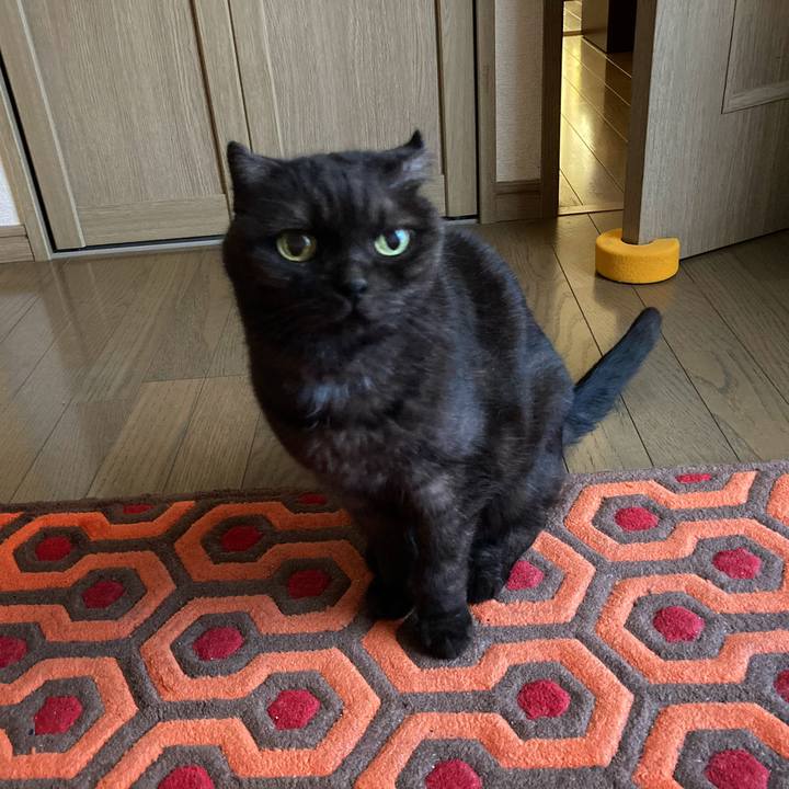 8eb2fe32 1a68 4979 b57f 752a7ea124b7 1597361656376