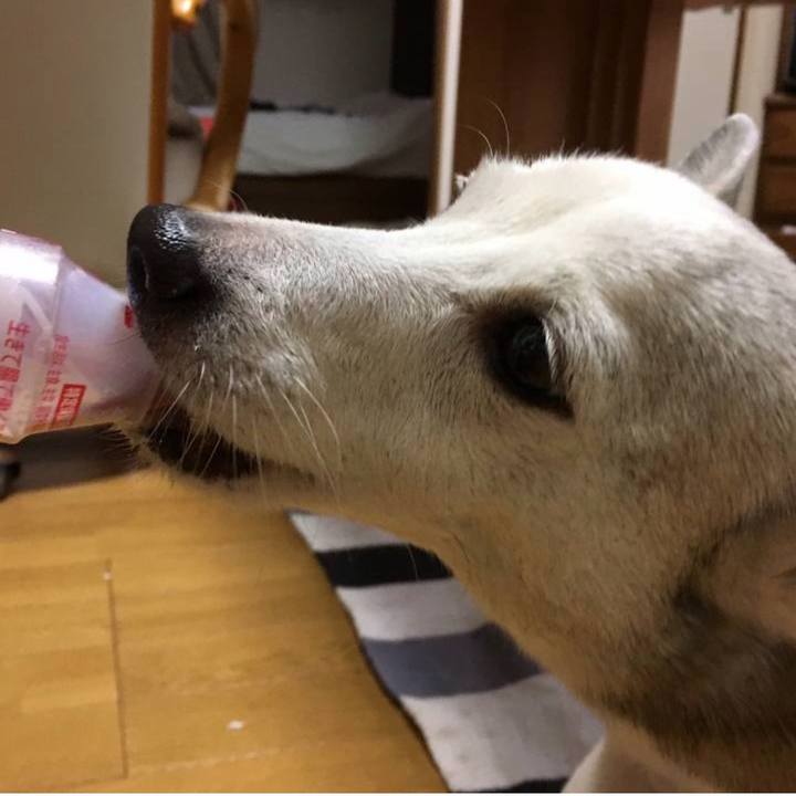 8eb30e74 0d88 4ce1 943f 738f385de746 1760742039478