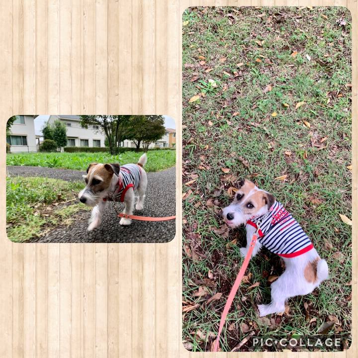 8eb33ce8 fae2 4a21 a9d0 c8557d516289 1602492460703